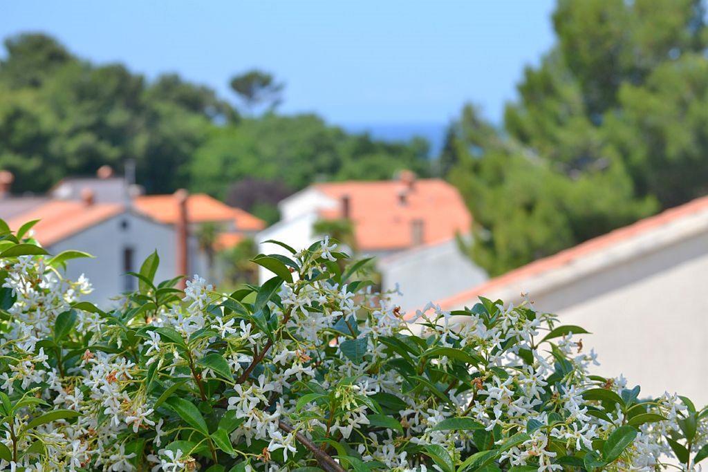 Apartments Zomzi Porec Exterior photo